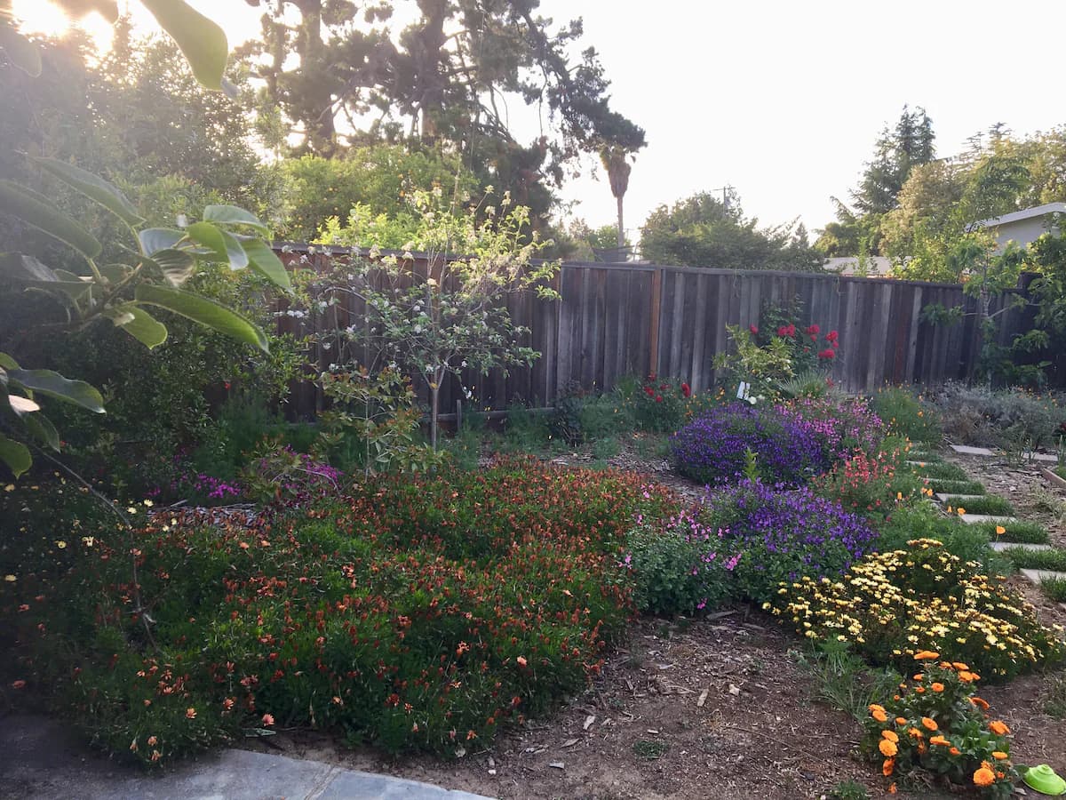 Sunnyvale Home with 2 Offices & Fruit Tree Yard - Photo 20