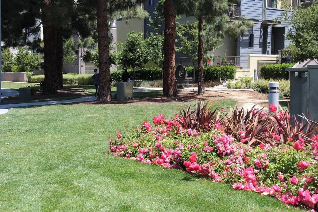 Home in Palo Alto · ★4.98 · 3 bedrooms · 3 beds · 3.5 baths - Image 26