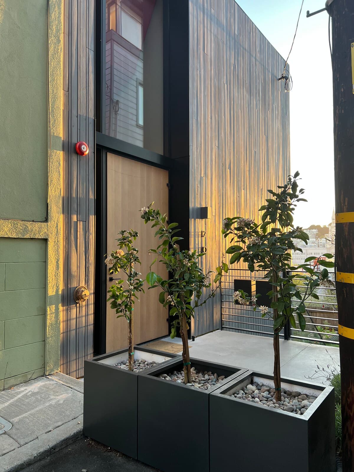 Russian Hill Architectural Gem with Bay Views - Photo 41