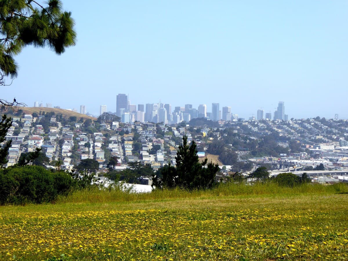 SF Home with Stunning Bay & Skyline Views - Photo 30