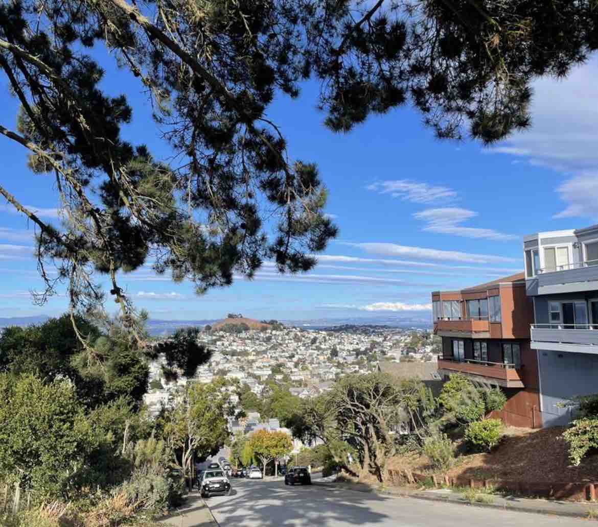 Noe Valley Hilltop Home with Bay & Skyline Views - Photo 20