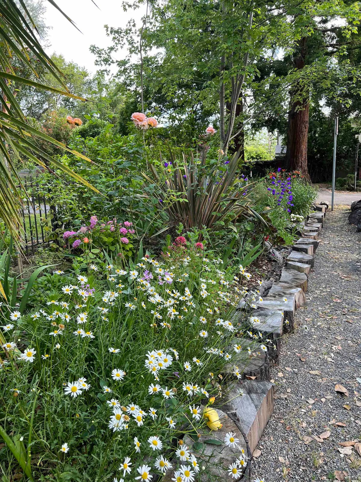 Guesthouse in Menlo Park · ★4.85 · 2 bedrooms · 4 beds · 1 bath - Image 35
