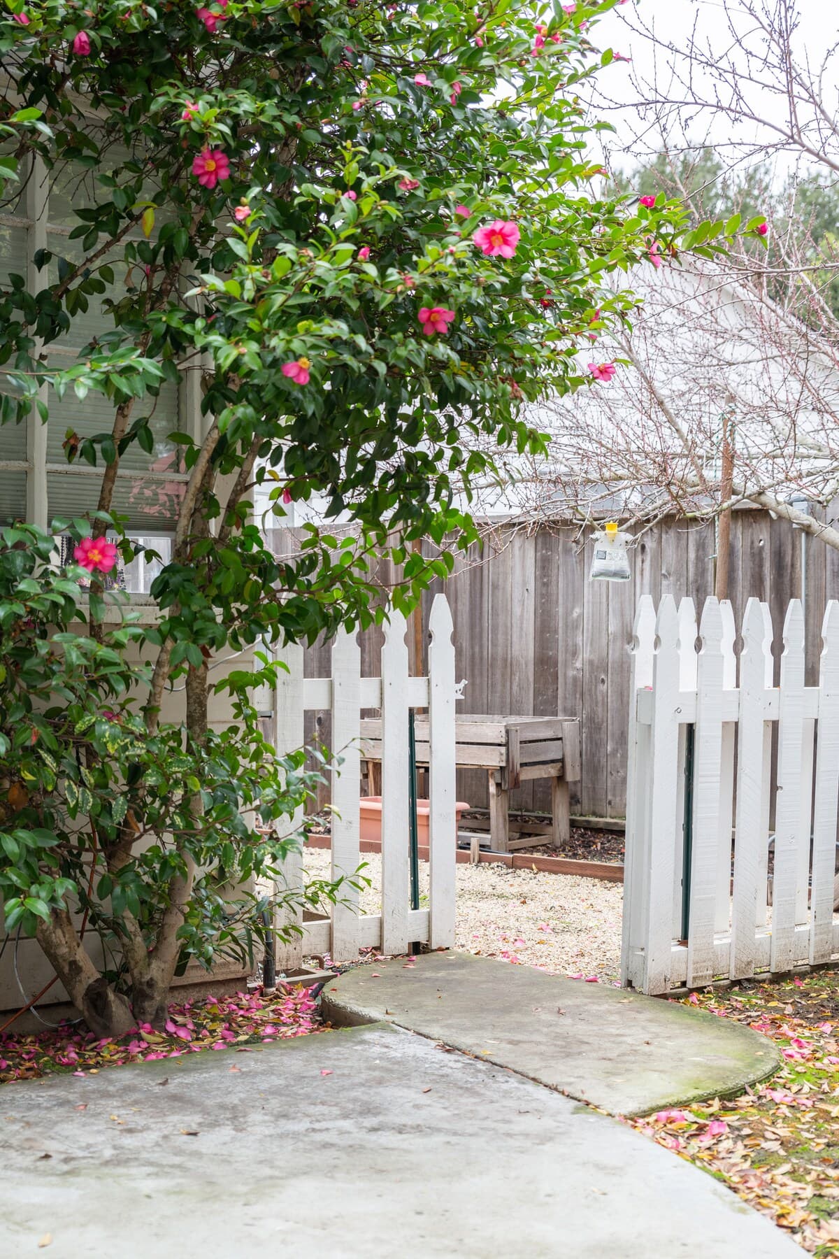 Home in Menlo Park · ★4.84 · 2 bedrooms · 3 beds · 1 bath - Image 31