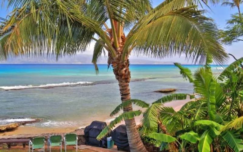 Condo in Lahaina · ★4.8 · 2 bedrooms · 3 beds · 2 baths - Image 7