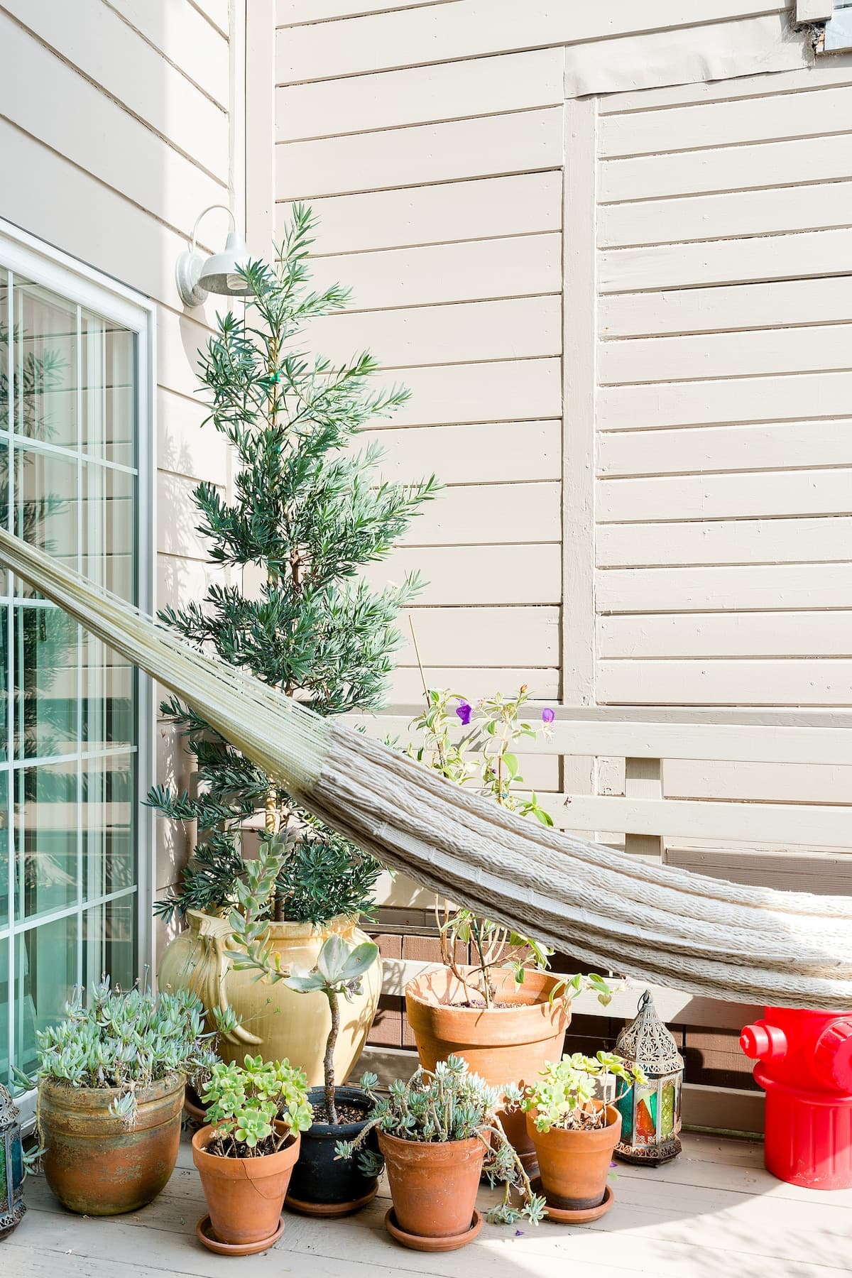 Private Lux Studio Apt. W Garden/Hammock BART - Photo 17