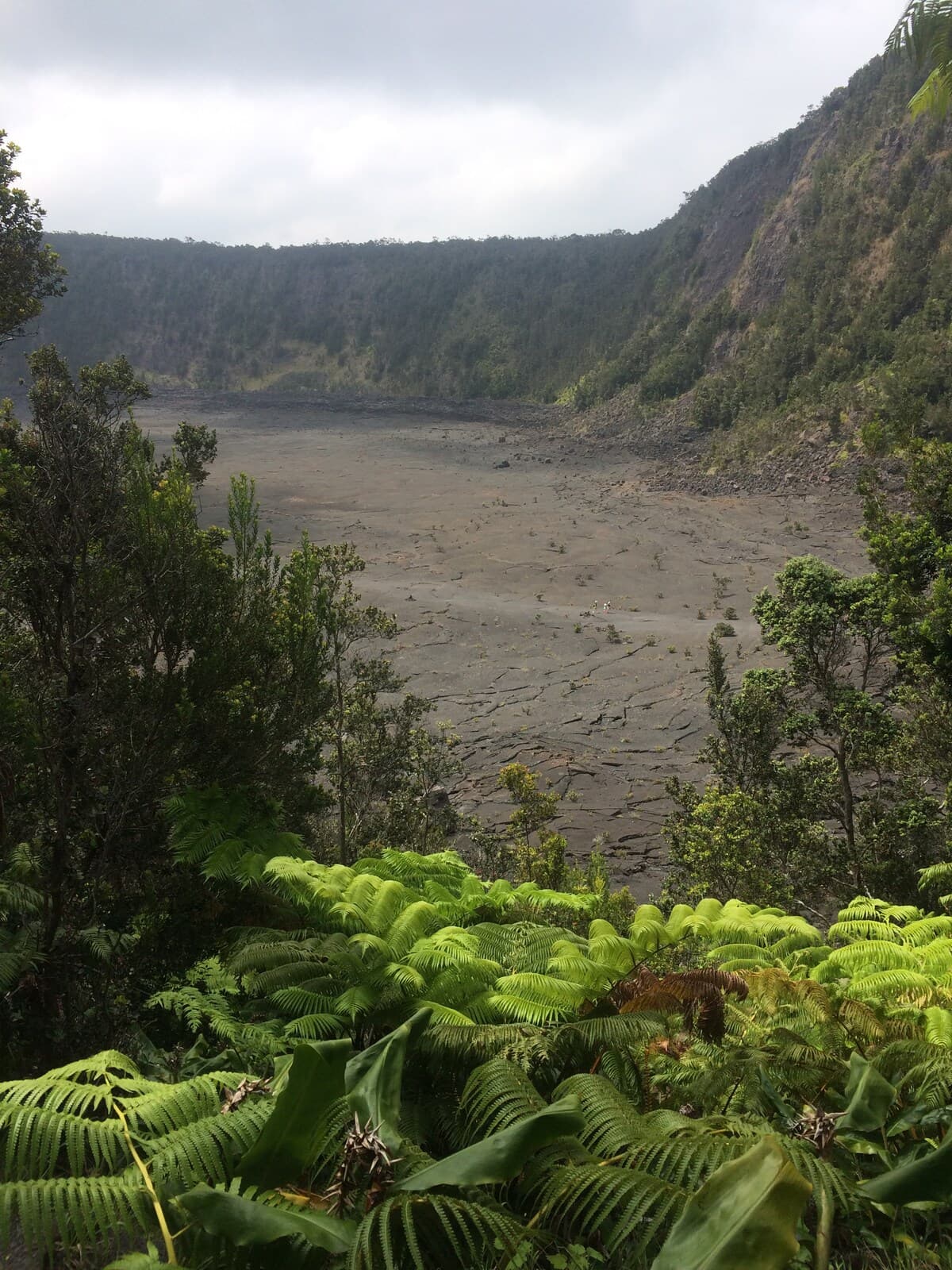 Explorer's Bungalow - Explore Volcanoes NP! - Image 41