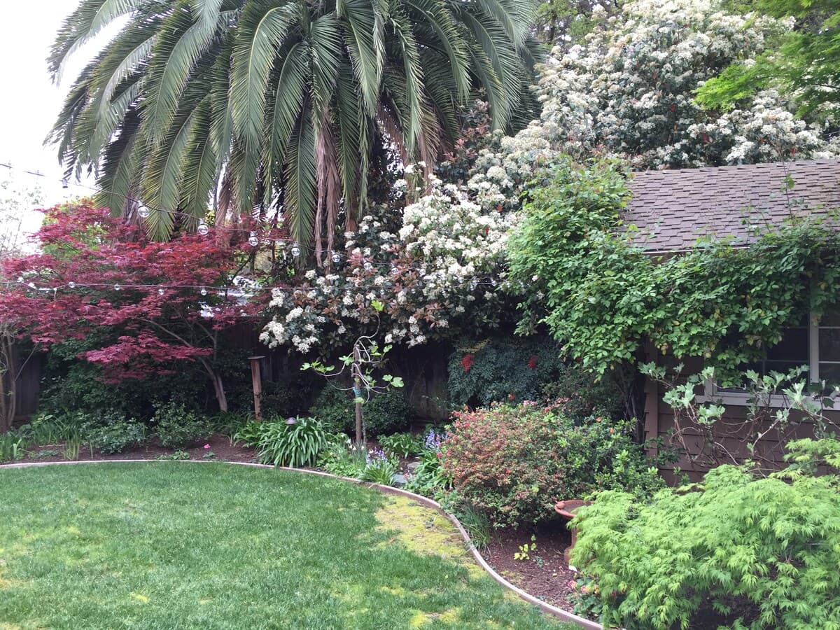 Garden Cottage in Silicon Valley Oasis - Photo 4