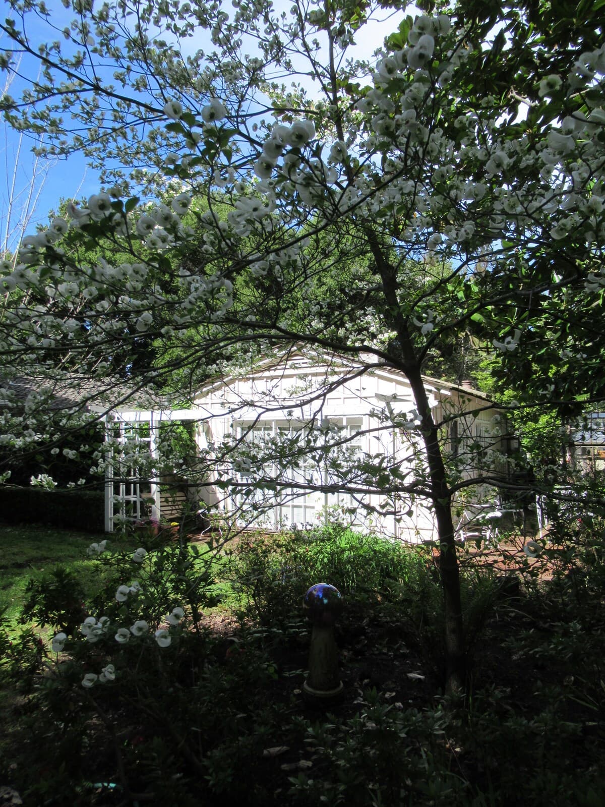 Guesthouse in Atherton · ★5.0 · 1 bedroom · 1 bed · 1 bath - Image 43