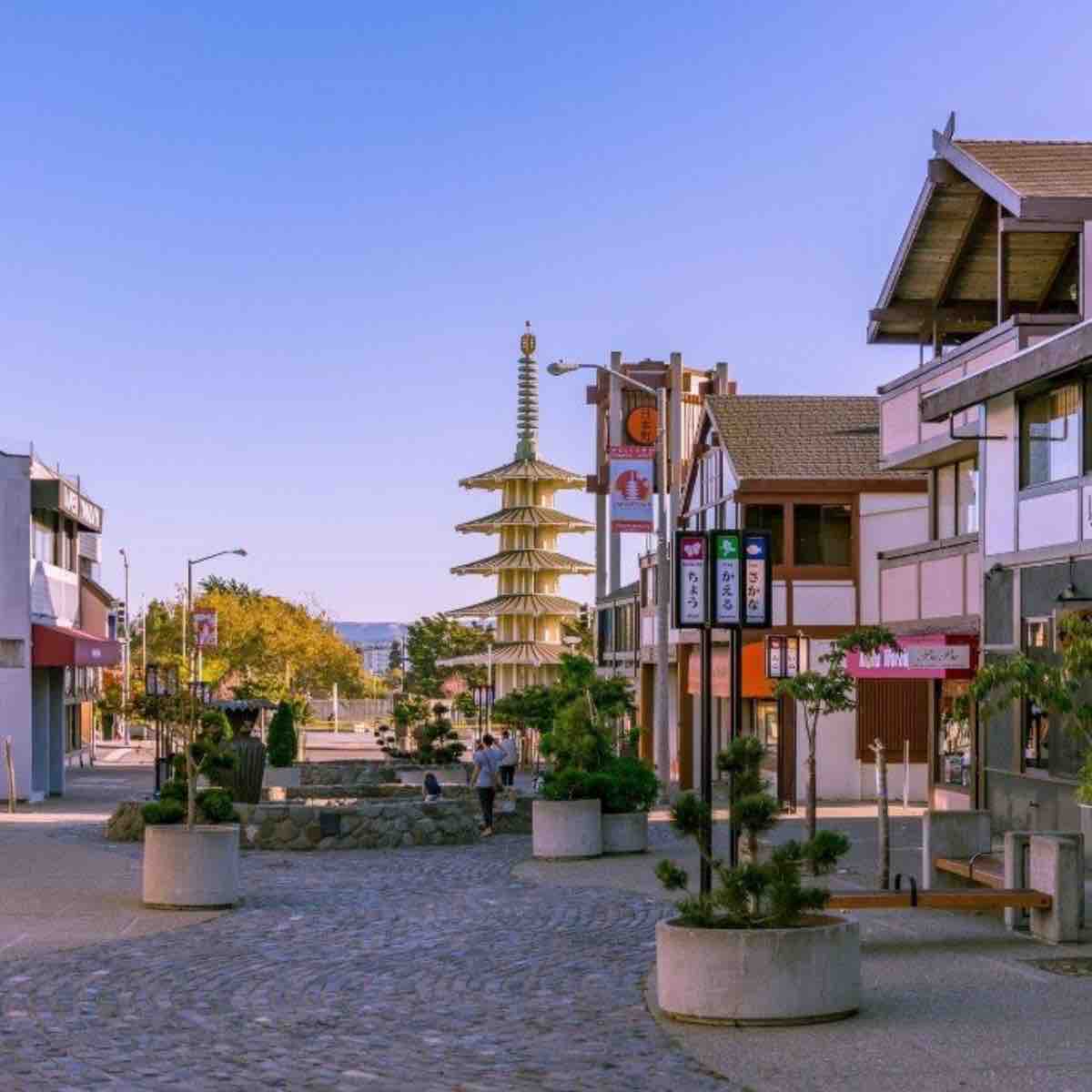 Victorian Gem by Japantown, Free Parking - Photo 18