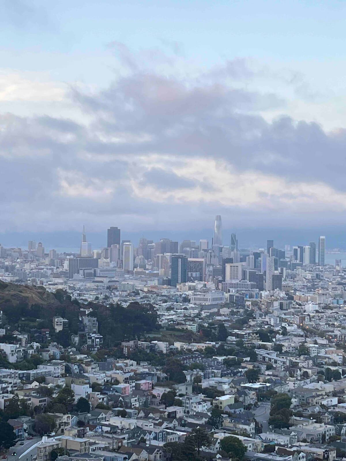 Cozy 2BR Near Golden Gate Park, Pets OK - Photo 43