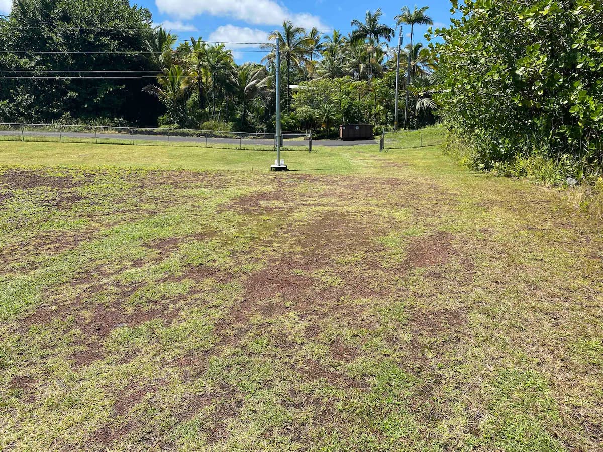 Home in Keaau · ★4.92 · 2 bedrooms · 2 beds · 2 baths - Image 19