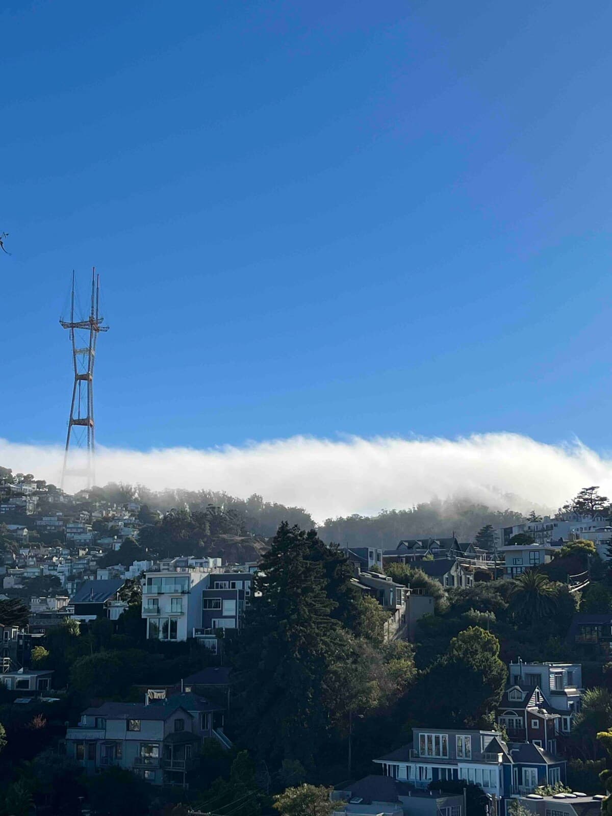 Cozy 2BR Near Golden Gate Park, Pets OK - Photo 42