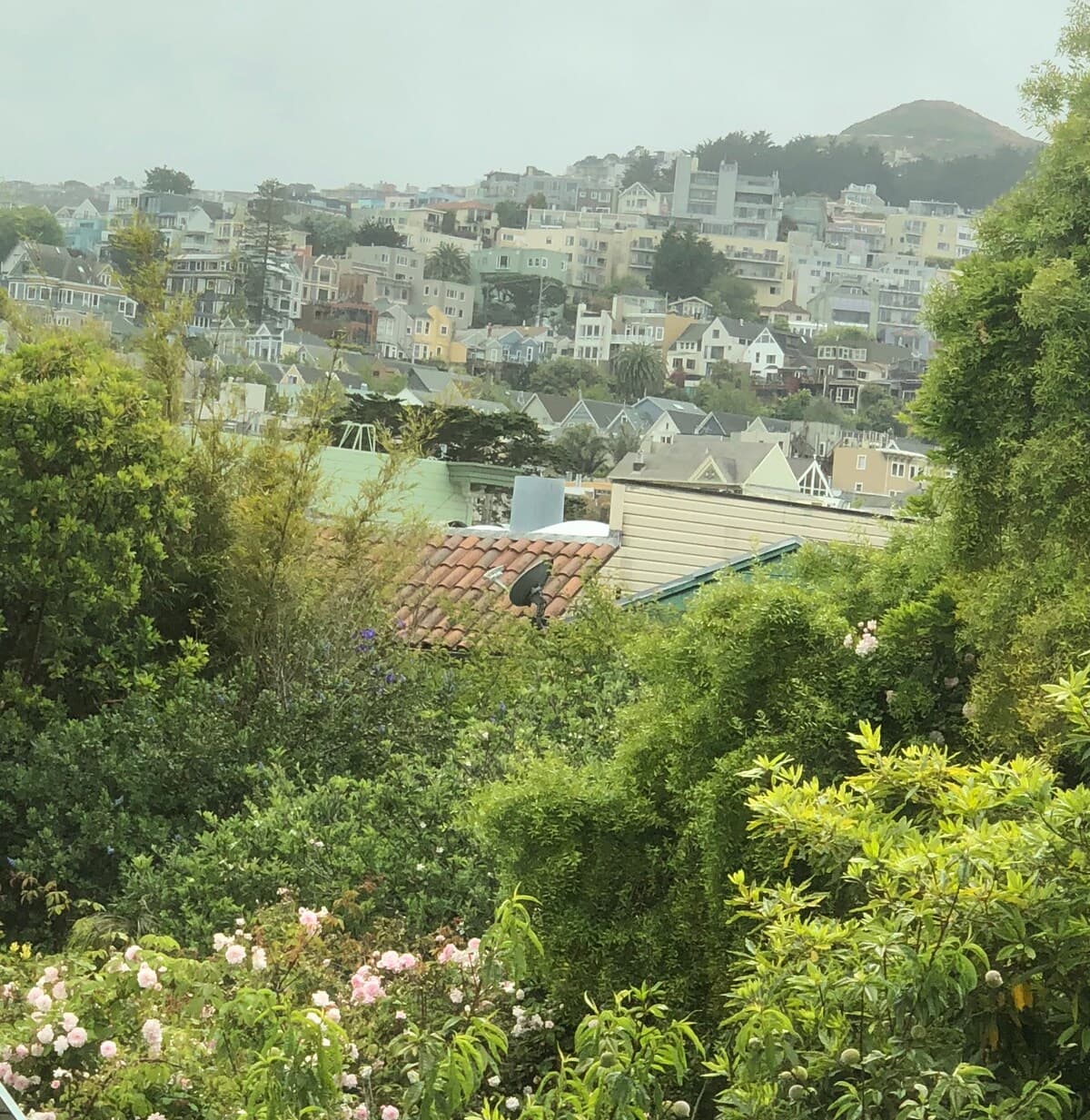 1901 Edwardian Home, Castro Heart, Quiet Block - Photo 9