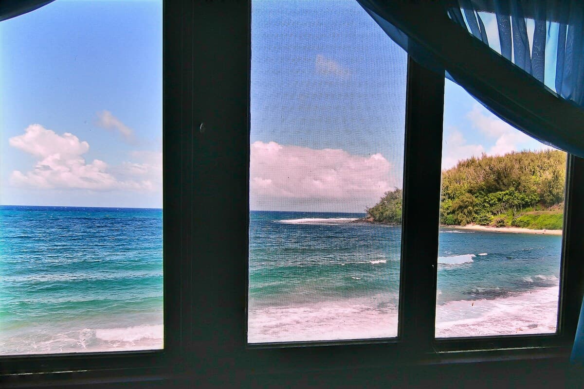 Spectacular Moloa'a Bay on the Beach - Image 17