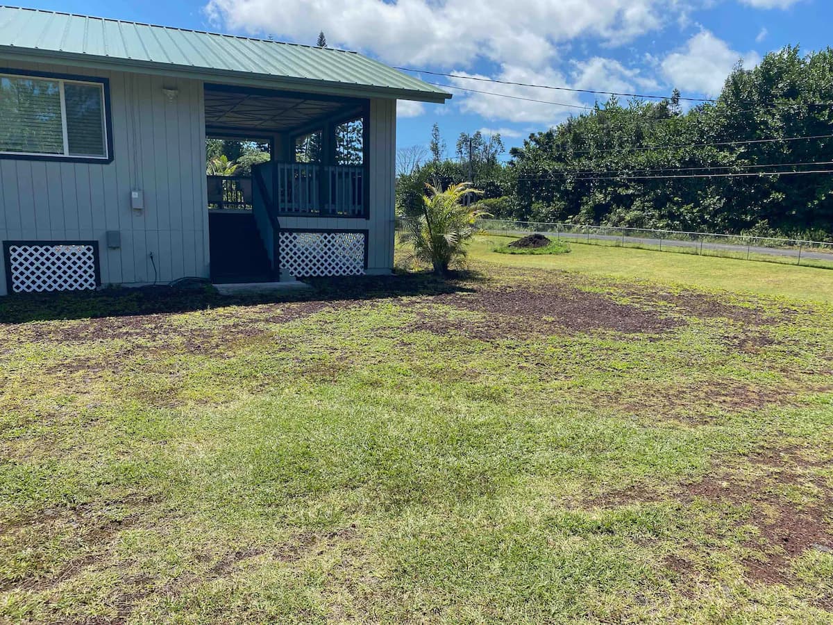 Home in Keaau · ★4.92 · 2 bedrooms · 2 beds · 2 baths - Image 14