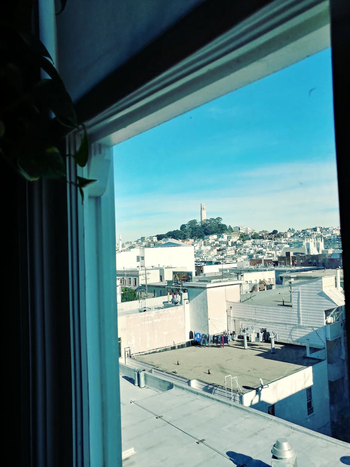 Beautiful Nob Hill Apartment with Perfect Location - Photo 8