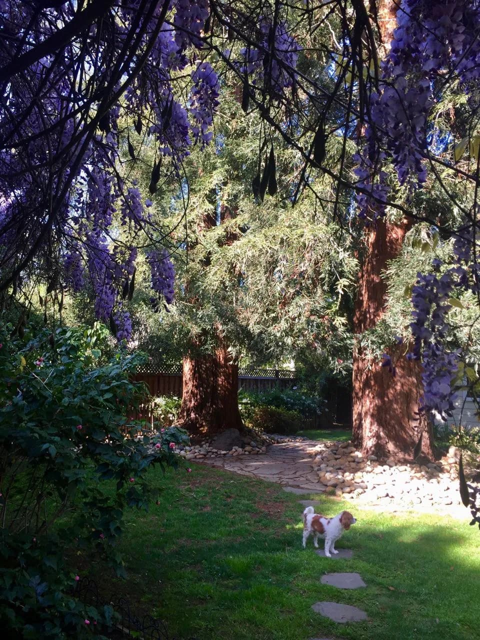 Guesthouse in Menlo Park · ★5.0 · Studio · 1 bed · 1 bath - Image 26