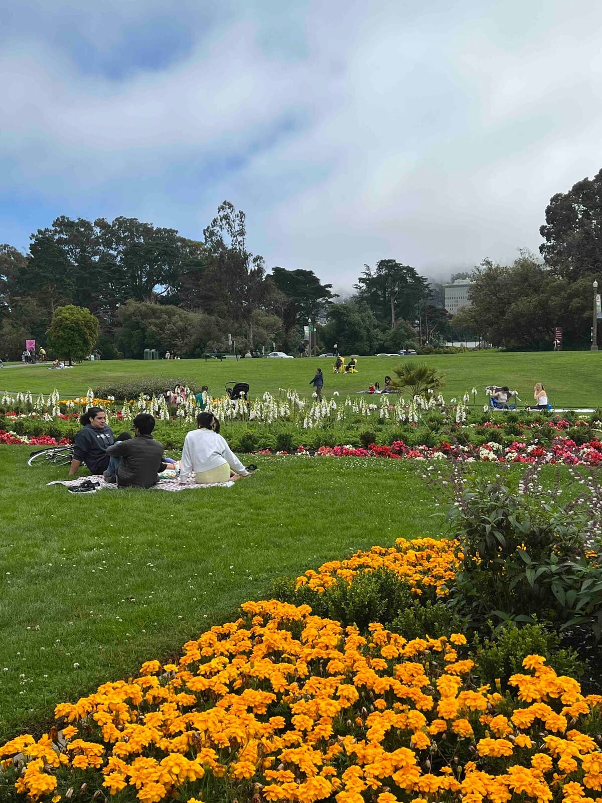 Cozy 2BR Near Golden Gate Park, Pets OK - Photo 35