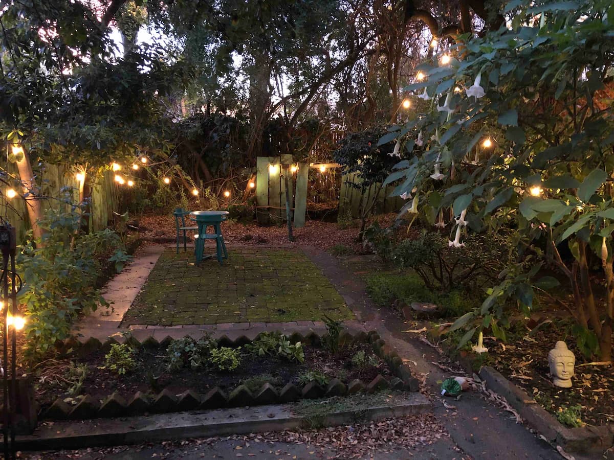 1901 Edwardian Home, Castro Heart, Quiet Block - Photo 13