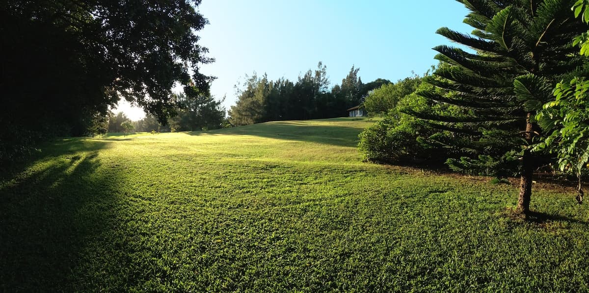 Guesthouse in Haiku-Pauwela · ★4.88 · Studio · 3 beds · 1 private bath - Image 10