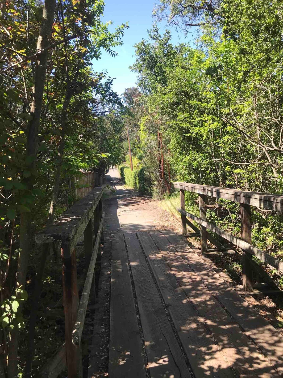 Guesthouse in Los Altos Hills · ★4.85 · 2 bedrooms · 2 beds · 1 bath - Image 46