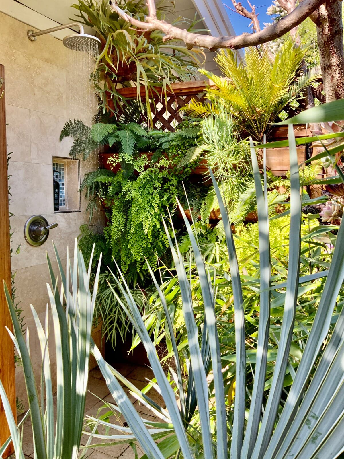 Home in Menlo Park · ★4.9 · 4 bedrooms · 7 beds · 2.5 baths - Image 31