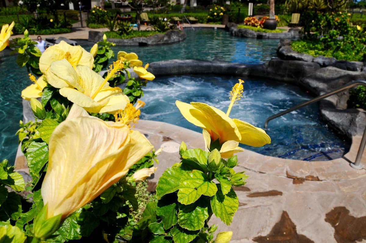 Condo in Kapolei · ★4.92 · 2 bedrooms · 5 beds · 2 private baths - Image 44