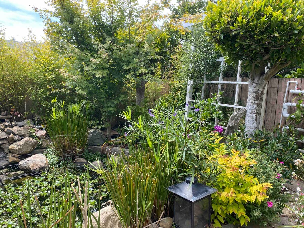Inner Sunset Garden Retreat, Near Golden Gate Park - Photo 27