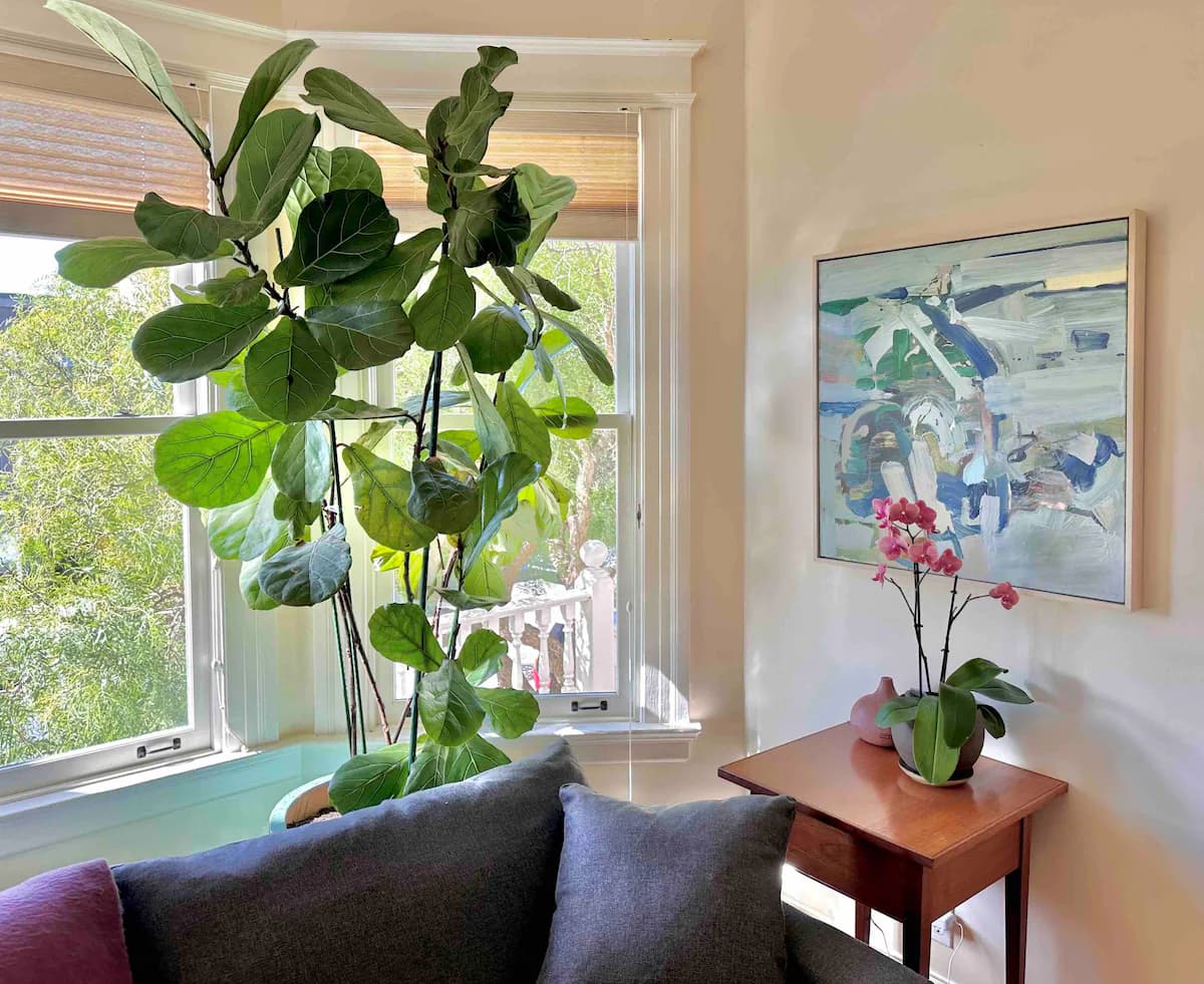 Bernal Heights Victorian w/ Hot Tub & EV Charger - Photo 6