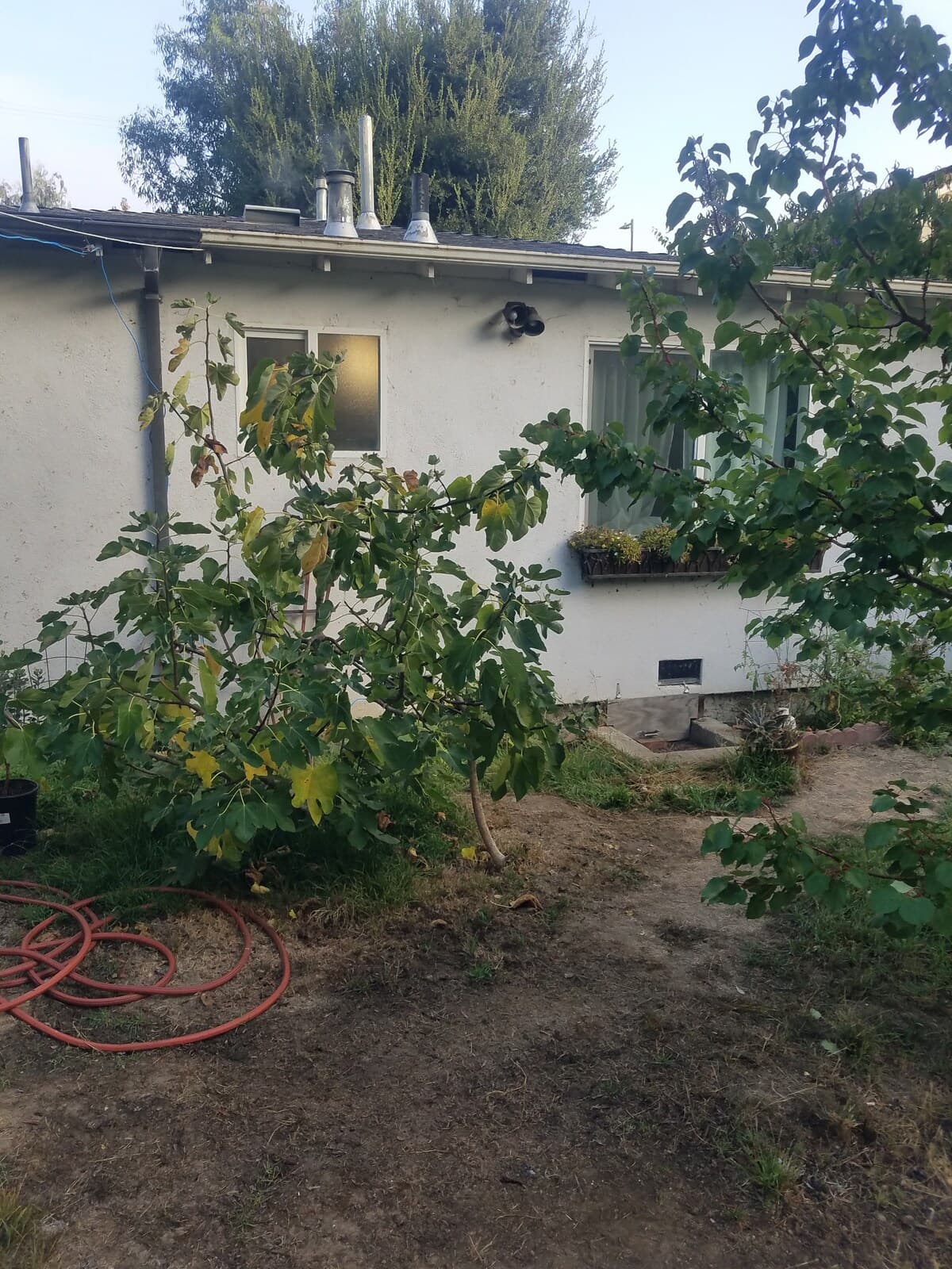 Home in East Palo Alto · ★4.82 · Studio · 1 bed · 1 bath - Image 23