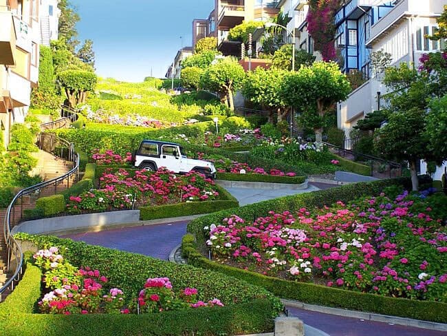 Telegraph Hill Studio with Garden & City Views - Photo 31
