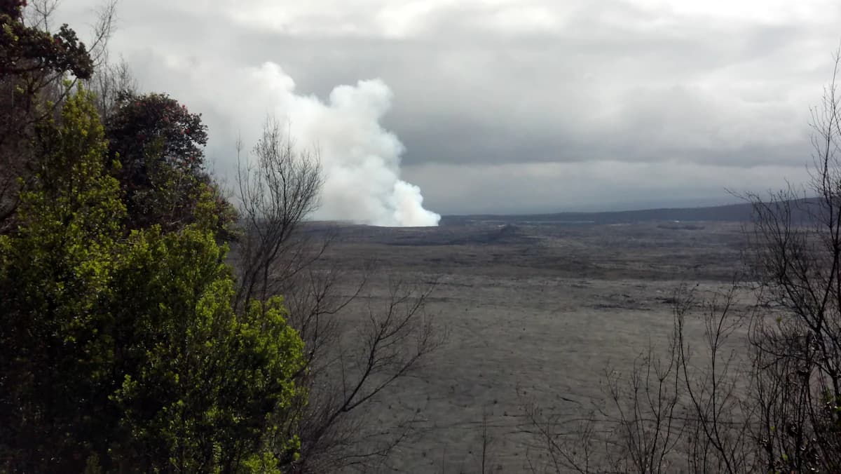 Explorer's Bungalow - Explore Volcanoes NP! - Image 38