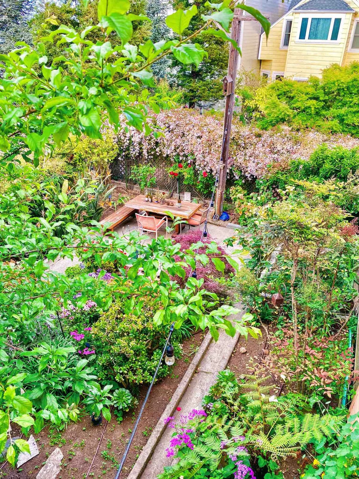 Potrero Hill Home with Bay Views & Garden - Photo 8