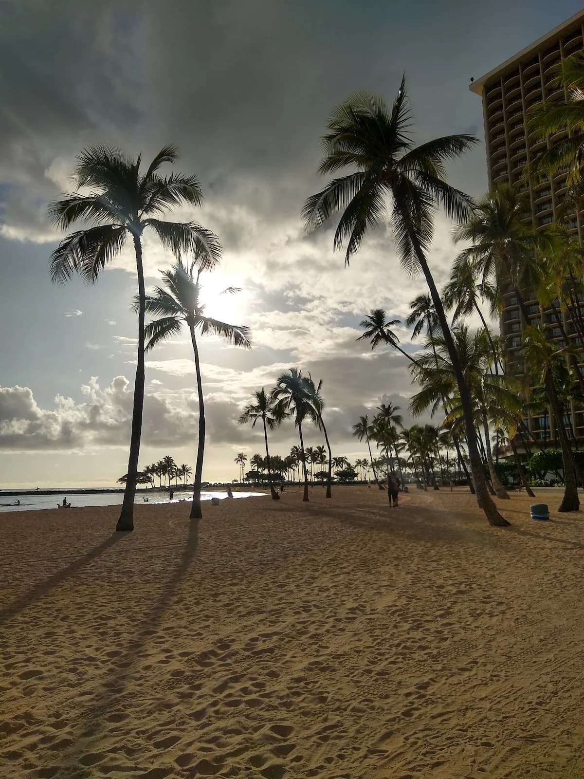 Rainbows in Waikiki - Image 22