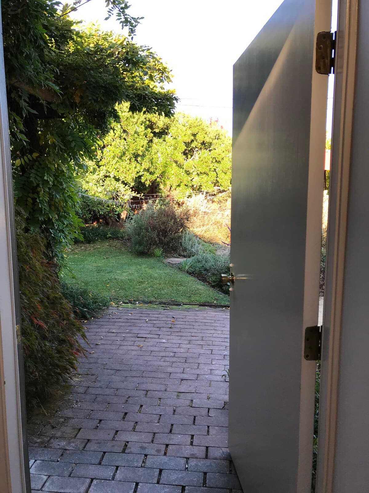 Peaceful Palo Alto garden retreat - Photo 15
