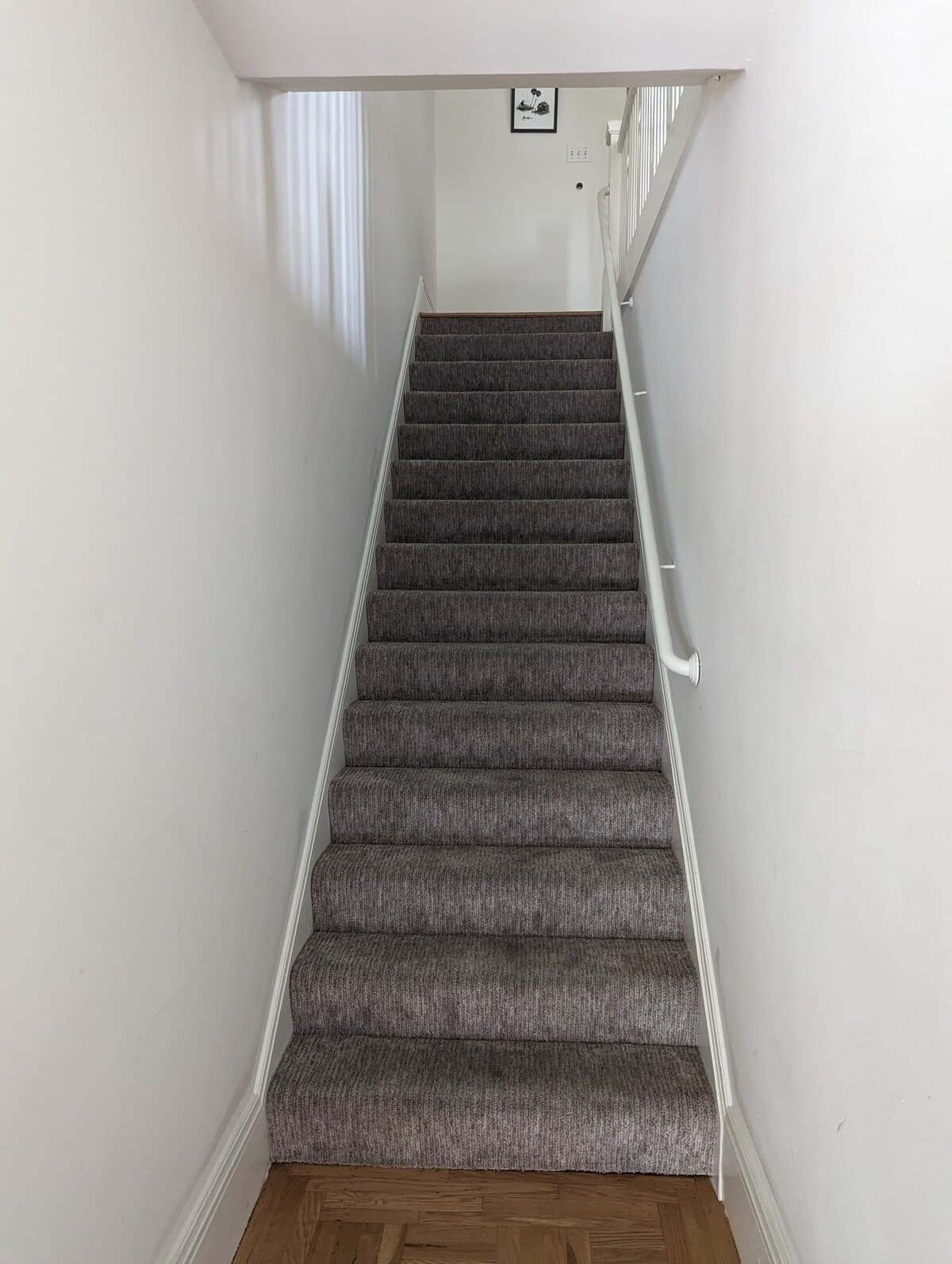Sunny Noe Valley Flat with Rose Garden Views - Photo 11