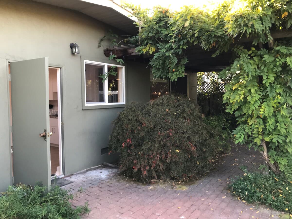 Peaceful Palo Alto garden retreat - Photo 13