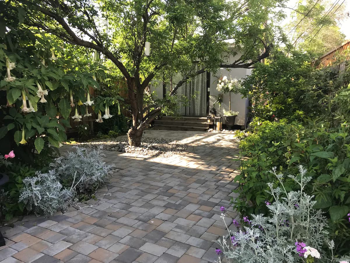 Charming Backyard Cottage in Sunnyvale Garden - Photo 19