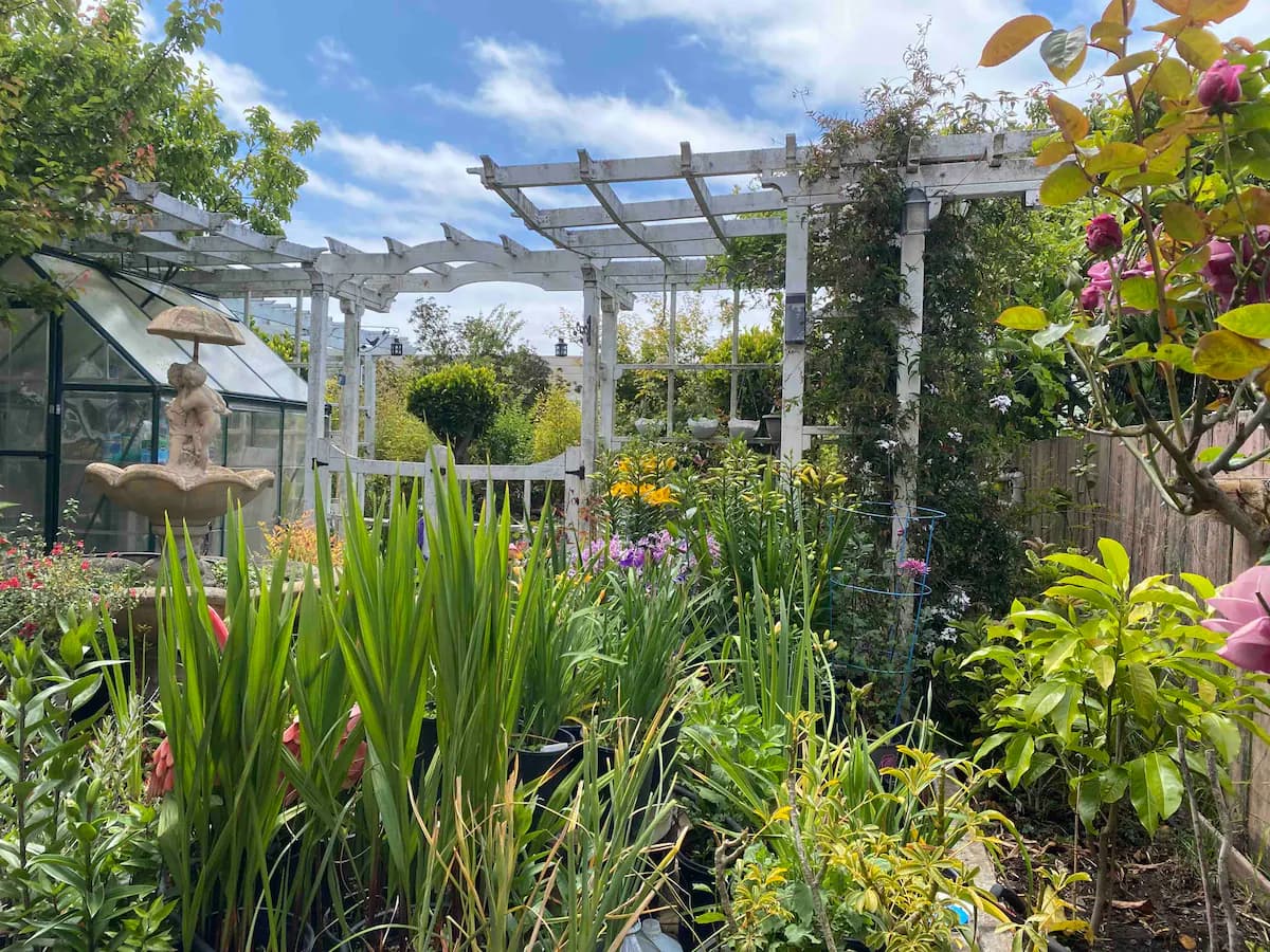 Inner Sunset Garden Retreat, Near Golden Gate Park - Photo 26