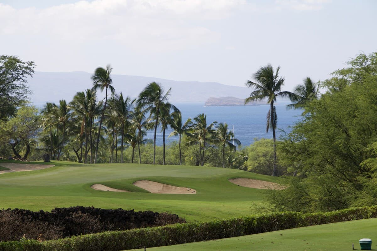 Condo in Wailea · ★4.95 · 2 bedrooms · 3 beds · 2 private baths - Image 25