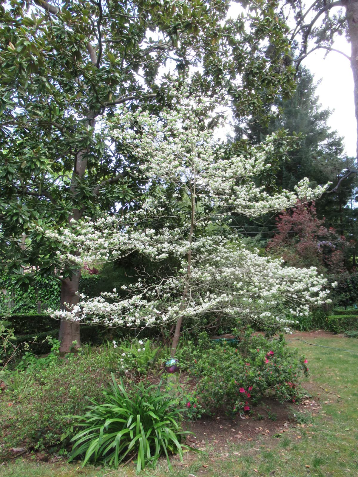 Guesthouse in Atherton · ★5.0 · 1 bedroom · 1 bed · 1 bath - Image 45
