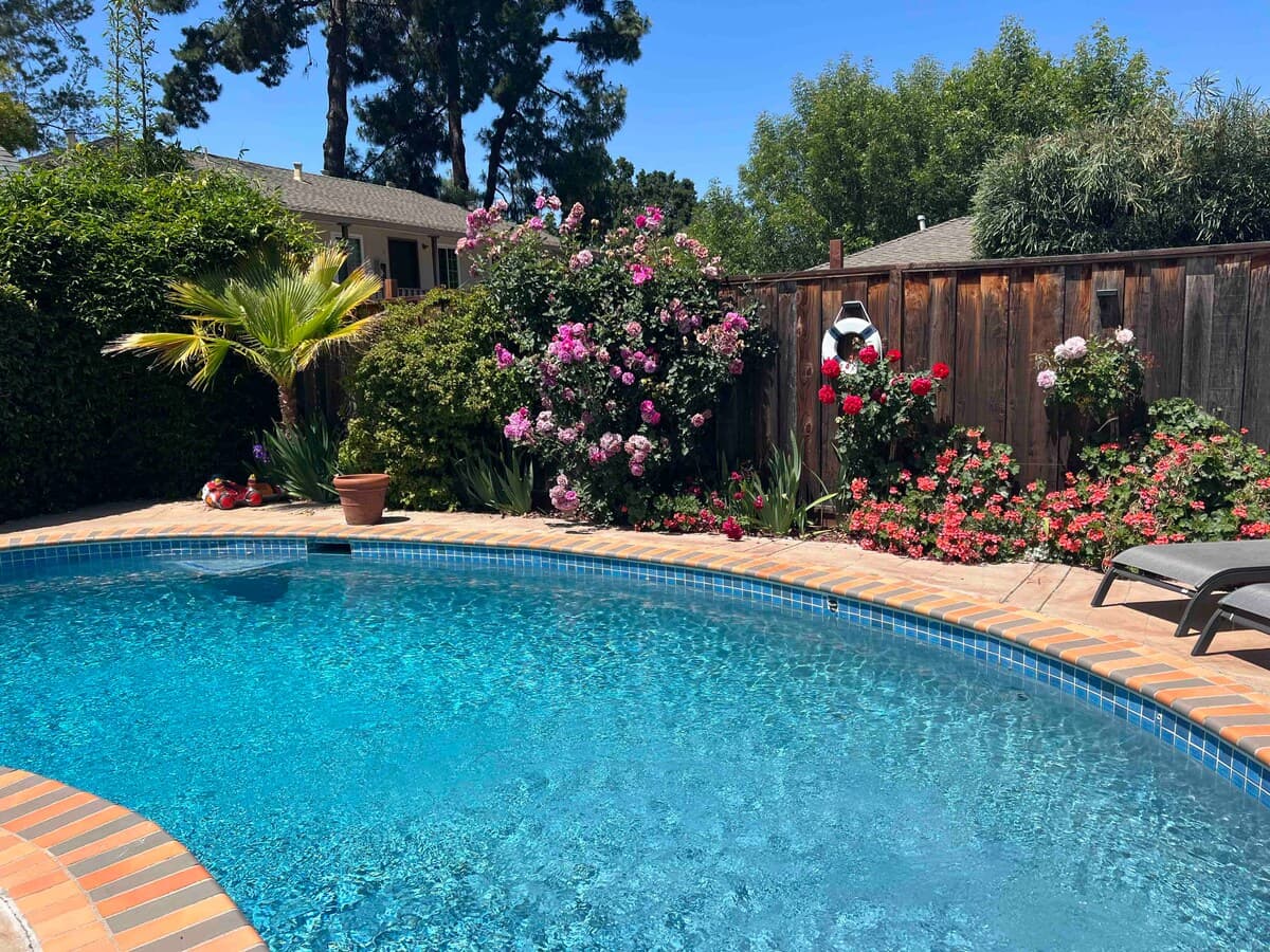 Home in Mountain View · ★4.85 · 4 bedrooms · 6 beds · 3 baths - Image 31