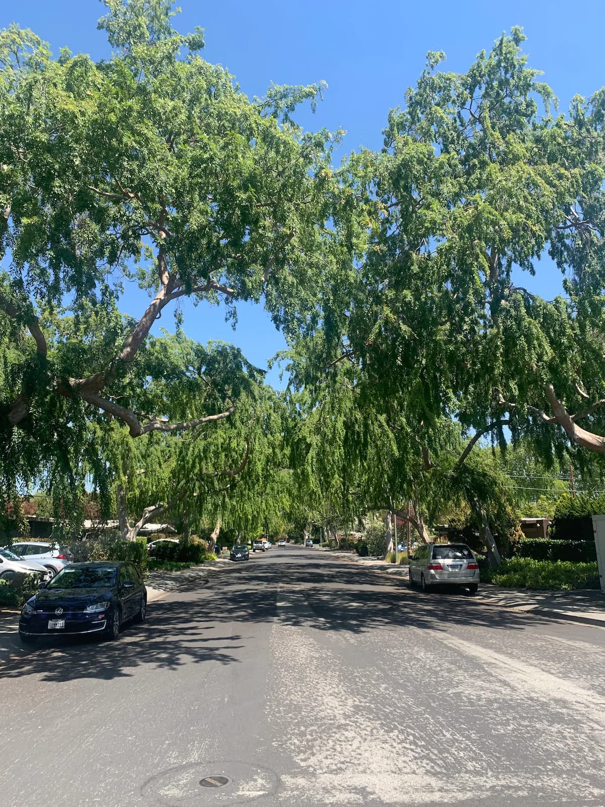 Fast WiFi- Pet Friendly Studio on Quiet Culdesac - Image 26