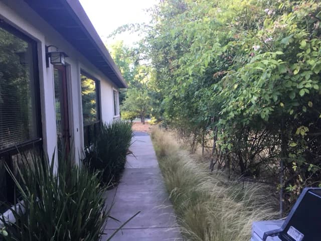 Home in Palo Alto · ★4.91 · 2 bedrooms · 2 beds · 1 bath - Image 11
