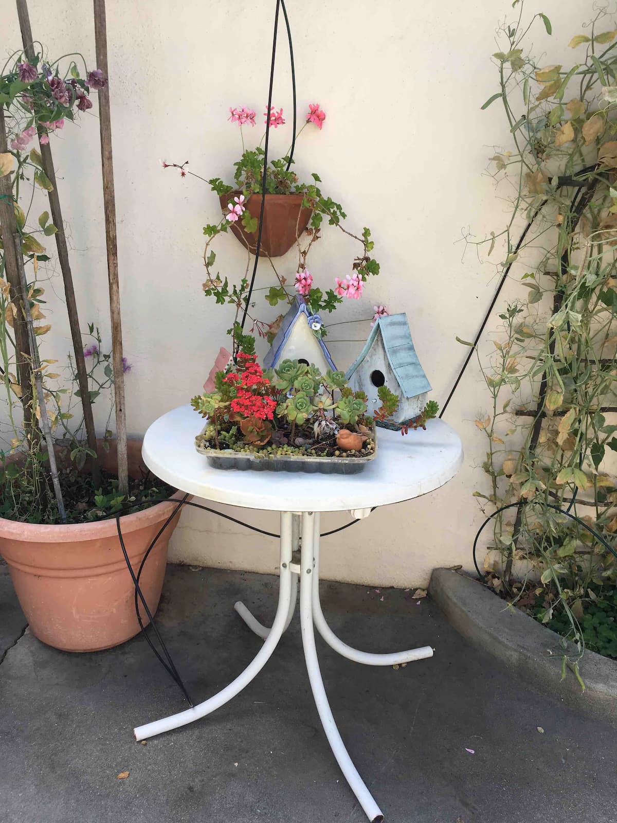 Guesthouse in Atherton · ★5.0 · 1 bedroom · 1 bed · 1 bath - Image 35