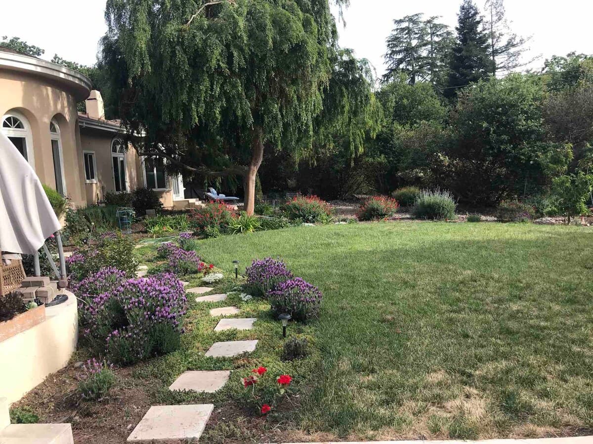 Guesthouse in Los Altos Hills · ★4.85 · 2 bedrooms · 2 beds · 1 bath - Image 22