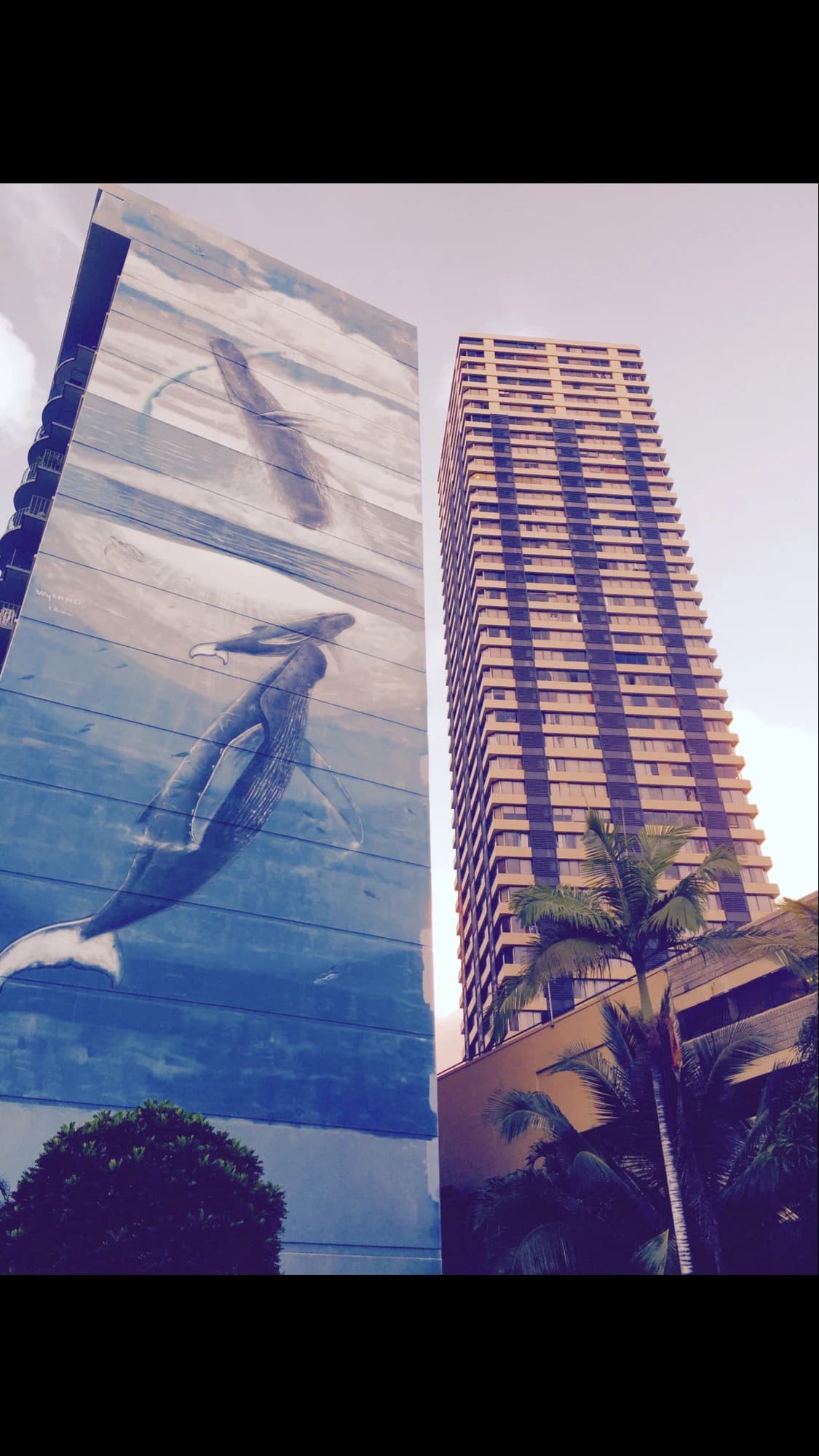 Condo in Honolulu · ★4.63 · Studio · 1 bed · 1 shared bath - Image 14