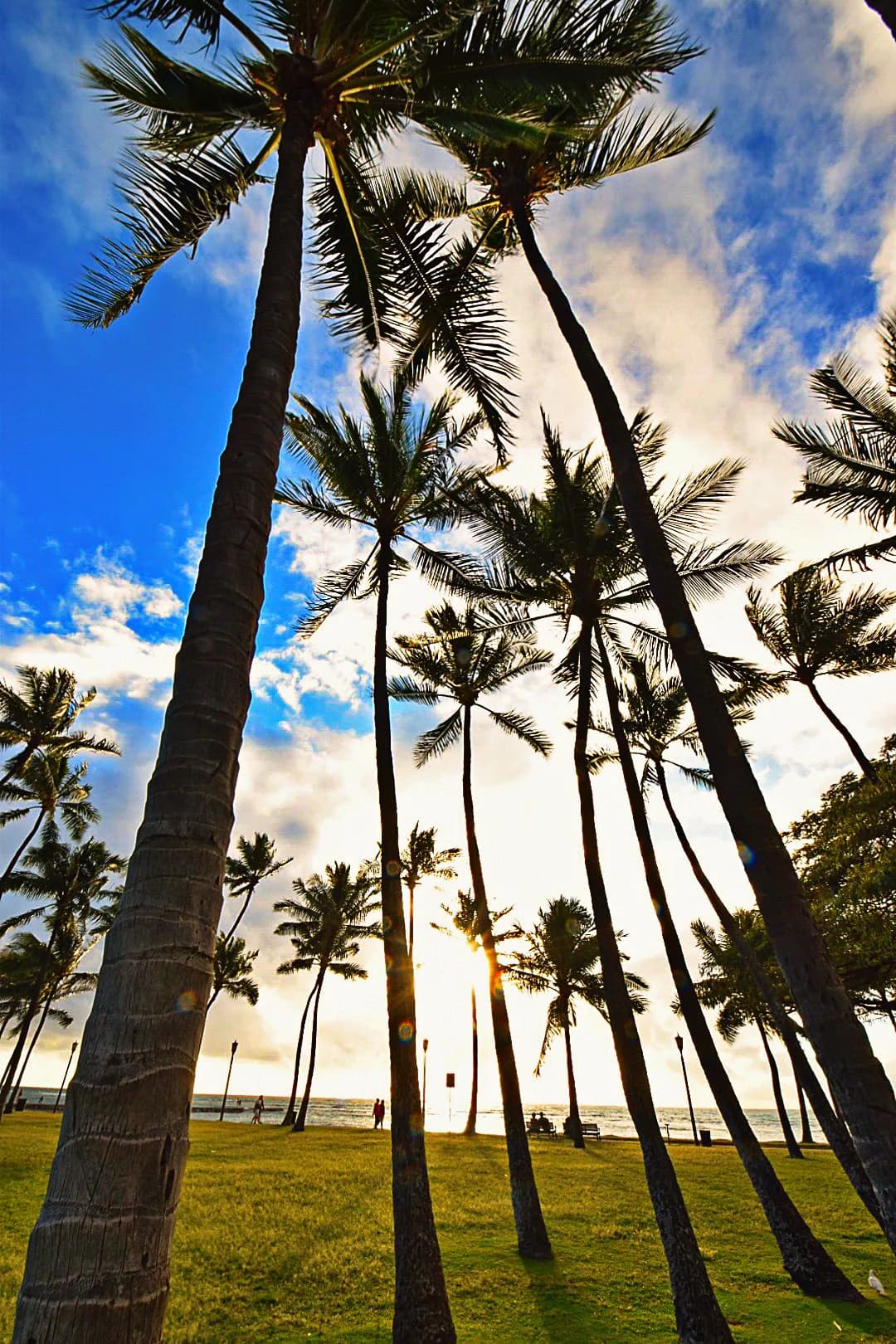 Lovely & Clean Unit | Minutes to Waikiki Beach - Image 26