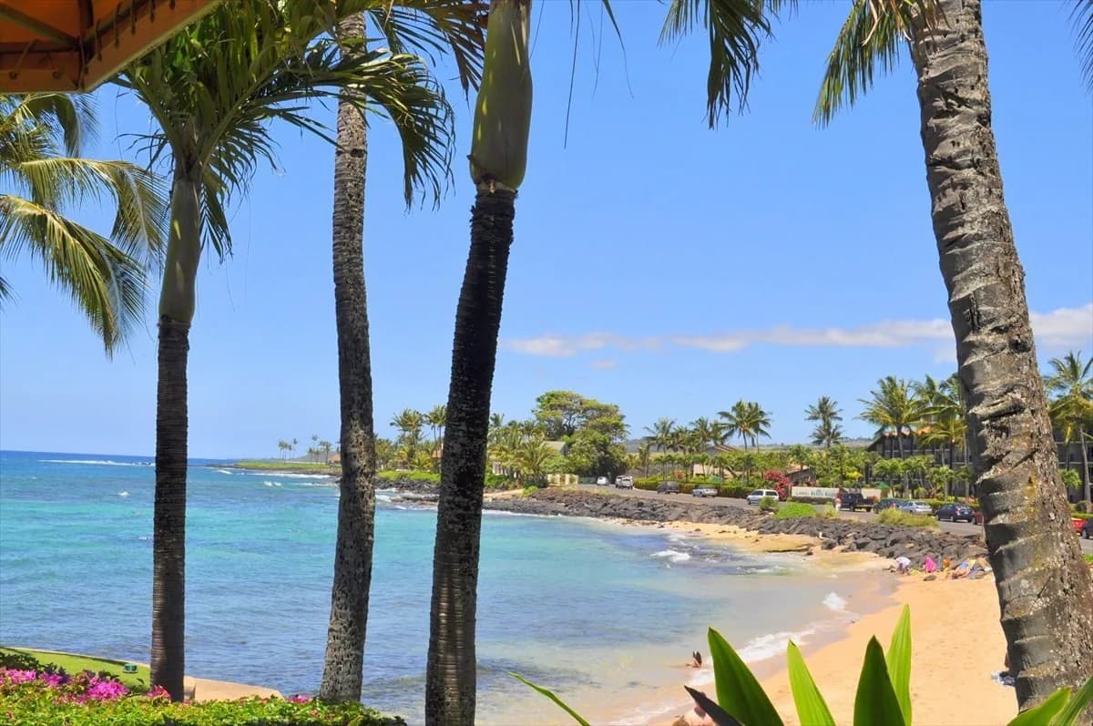 Condo in Koloa · ★4.89 · 2 bedrooms · 3 beds · 2 baths - Image 23