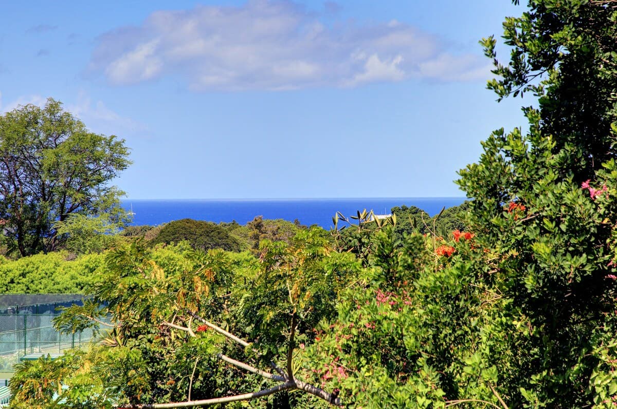 Condo in Wailea · ★4.95 · 2 bedrooms · 3 beds · 2 private baths - Image 24